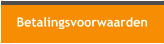 Betalingsvoorwaarden